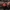 Gruppe SC-Fans vor Plakat "Braun darf nur St. Pauli" in U-Bahn Station